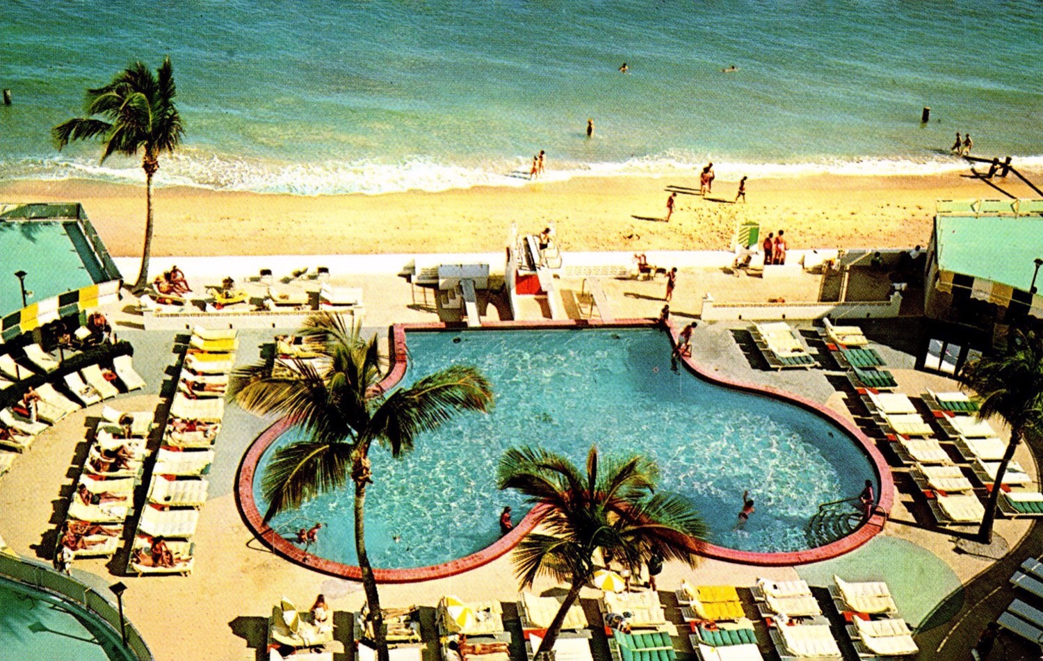 Vintage postcard of the kidney-shaped pool at the Ivanhoe Hotel, Miami Beach, ringed with palms and white loungers
